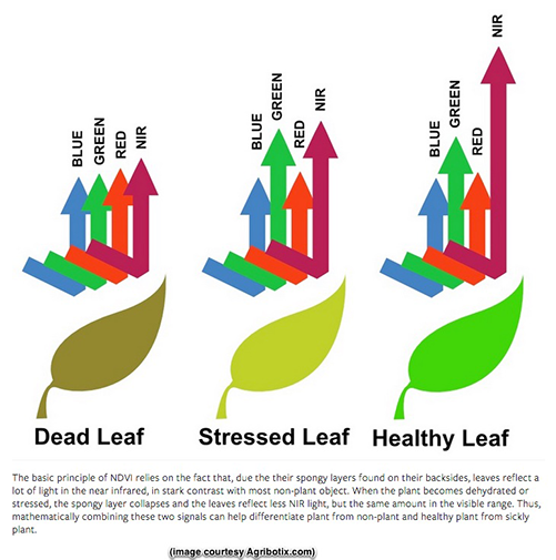 monitoring plant health / agricultural drones