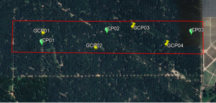 Oil palm site area in Ijok, Selangor / drone mapping