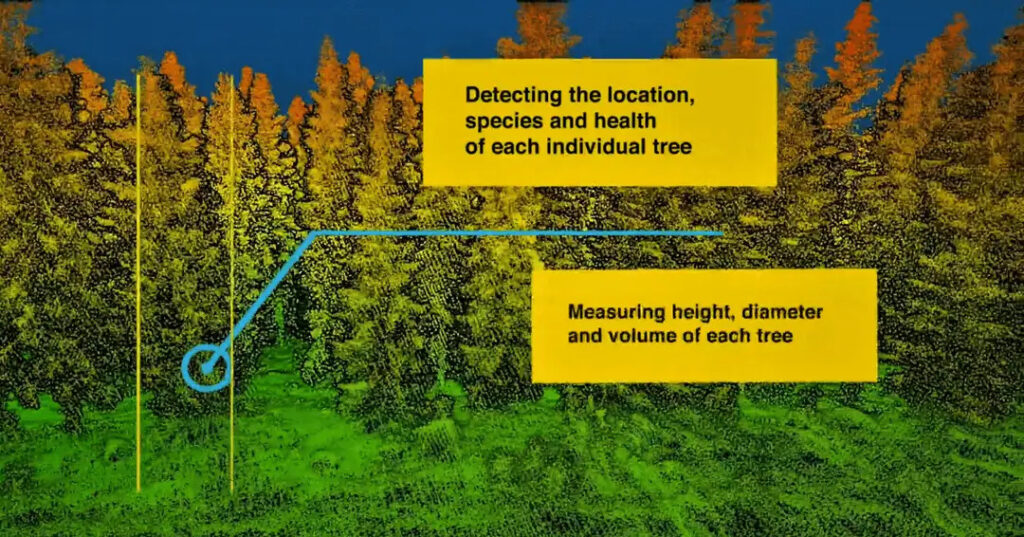 spraying drone / drone used in forestry