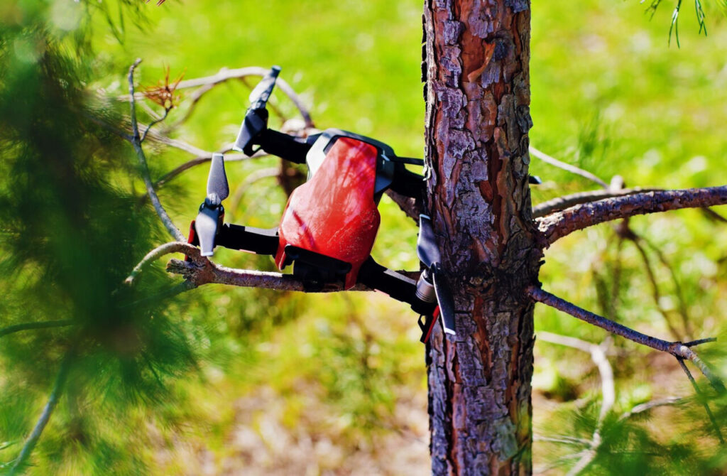 drone stuck in tree