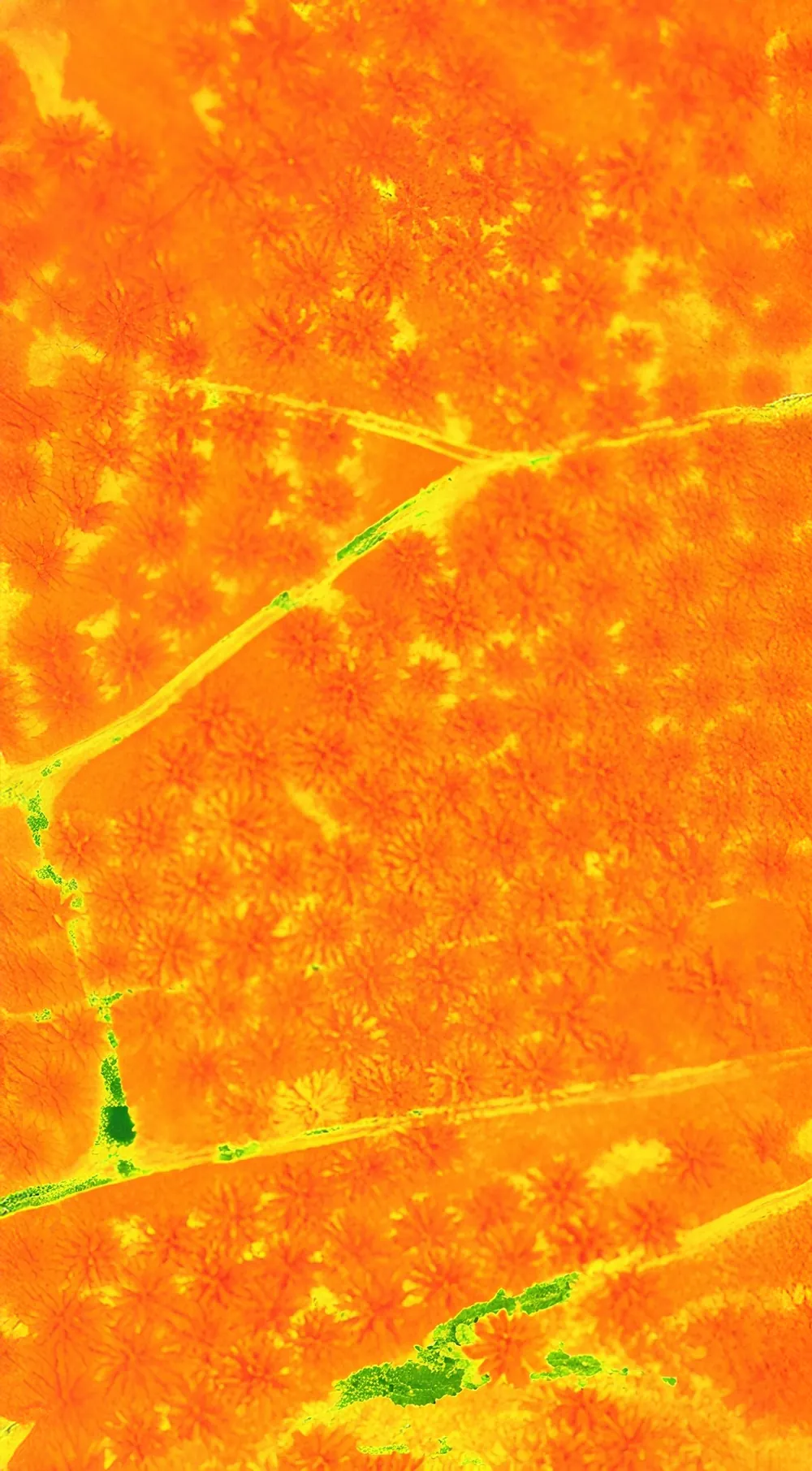 Multispectral Analysis