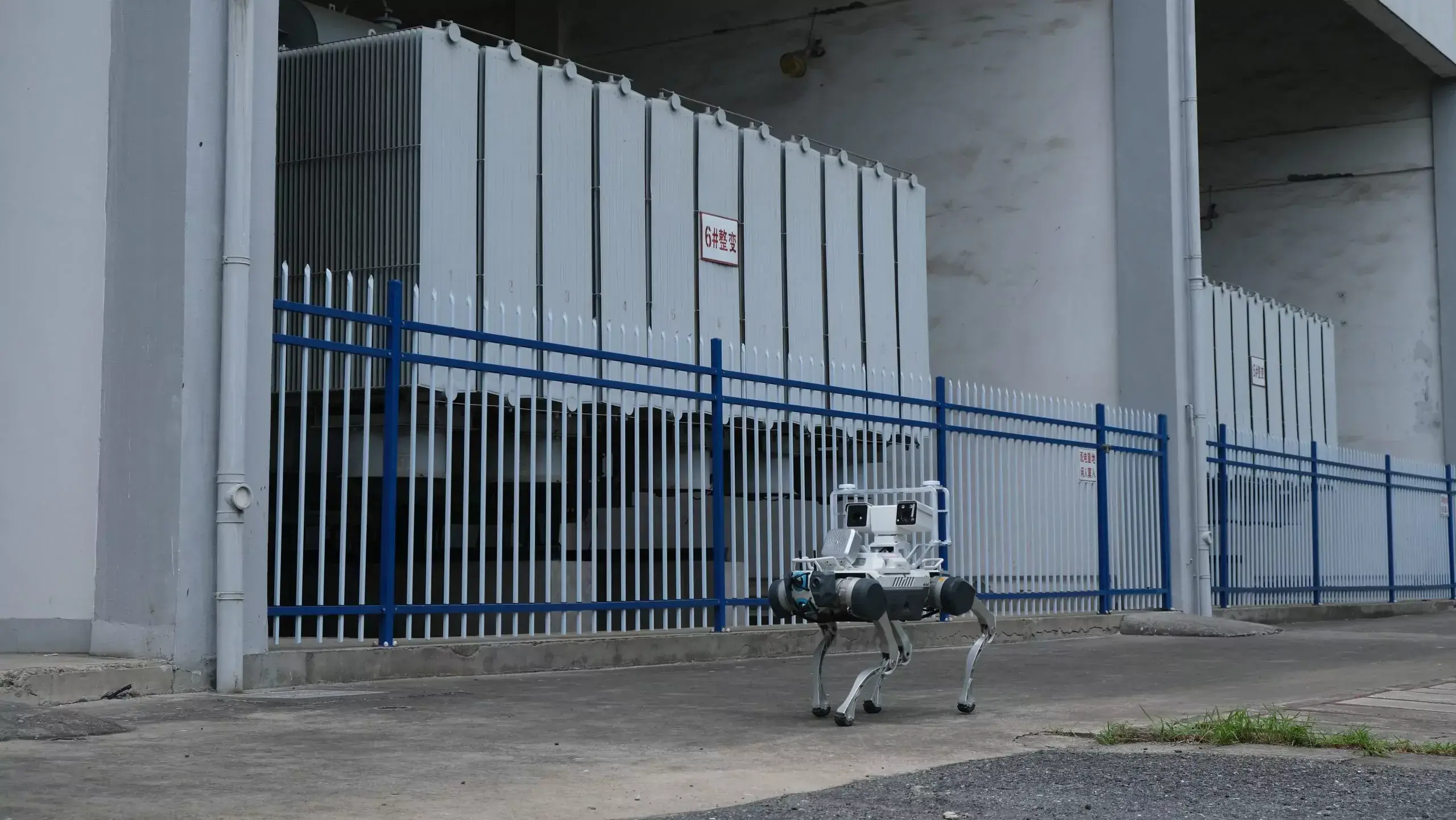 Security & Facility Patrol