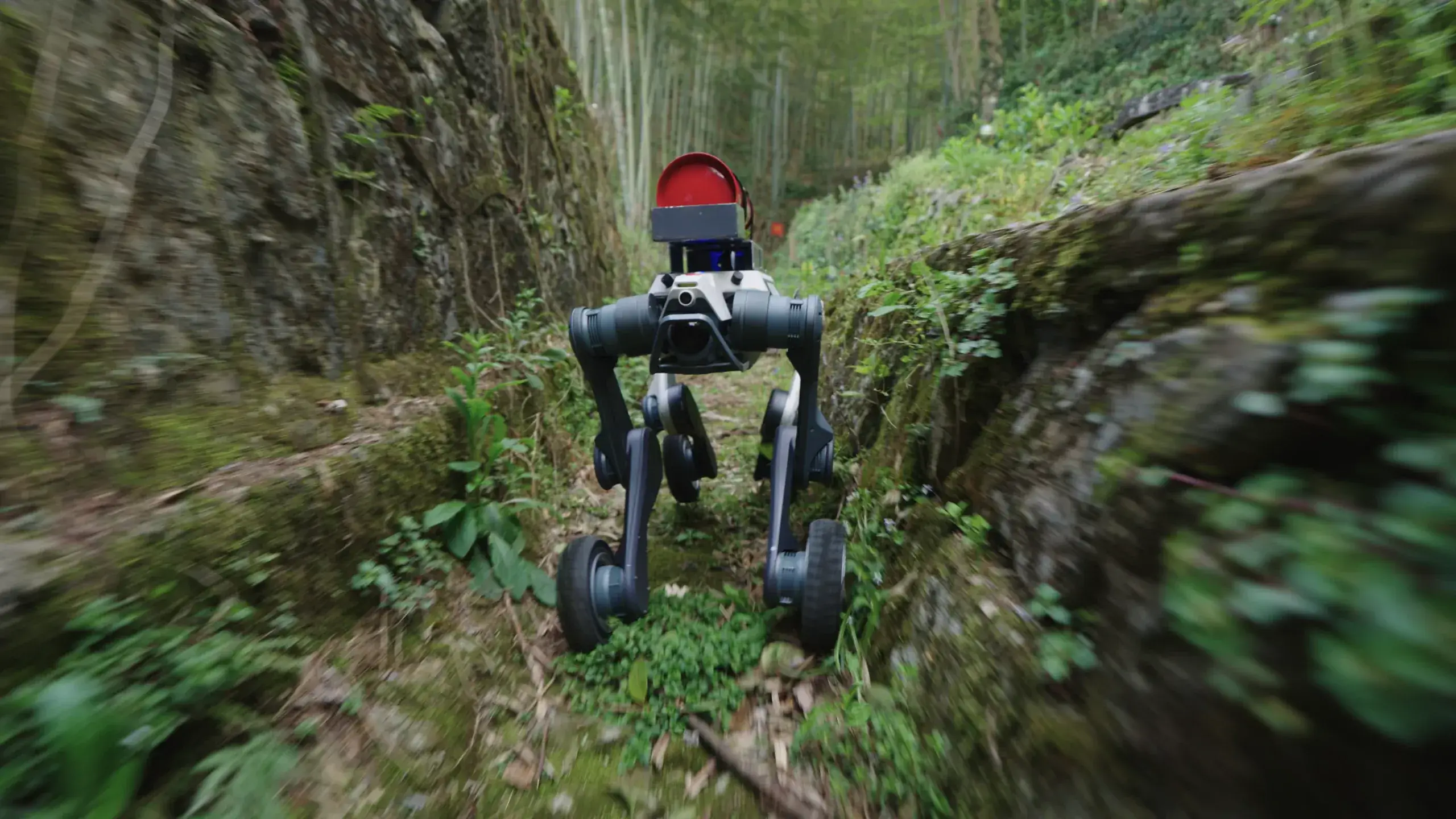 Move Across Complex Terrain