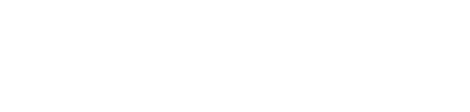Enabot