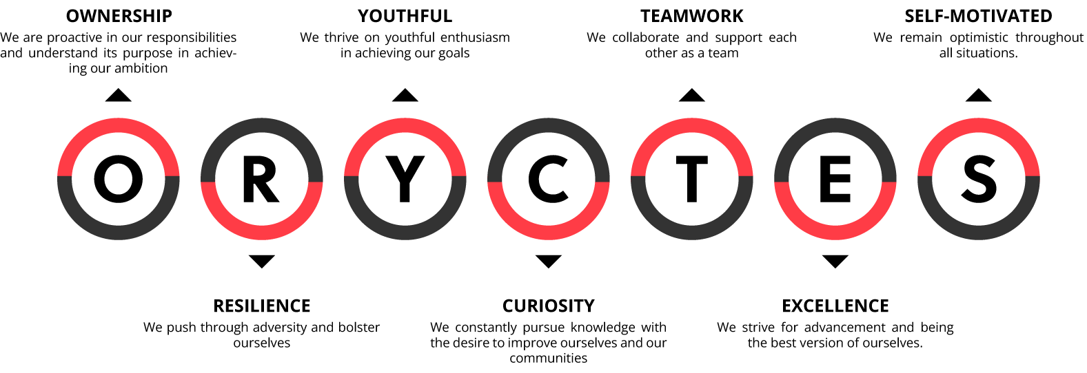 Company-Values-ORYCTES-latest aonic core value / aonic