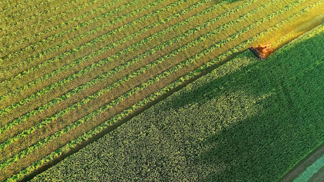 Committed to Developing Integrated Ecosystems