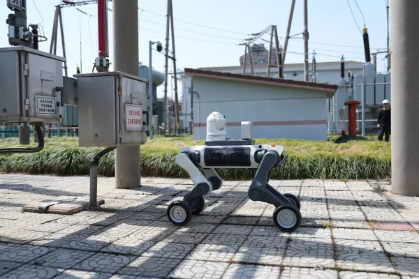 robot bốn chân thực hiện khảo sát lập bản đồ khu vực